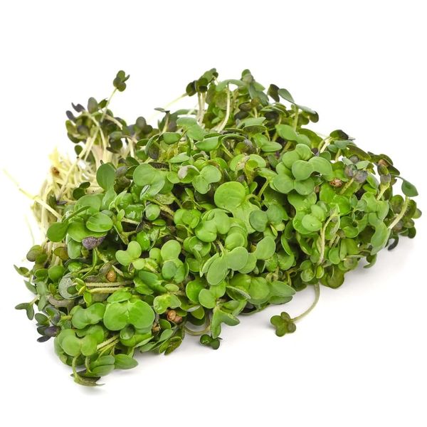 Hořčice 100 g thumbnail