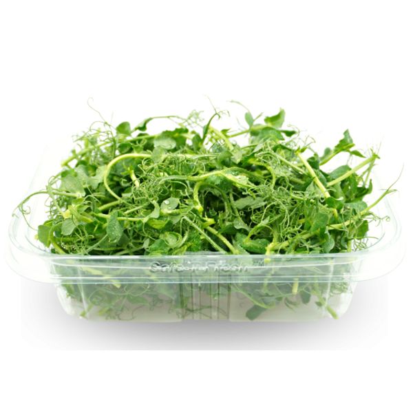 Čerstvý hrášek thumbnail