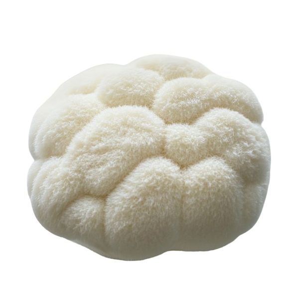 Korálovec ježatý thumbnail