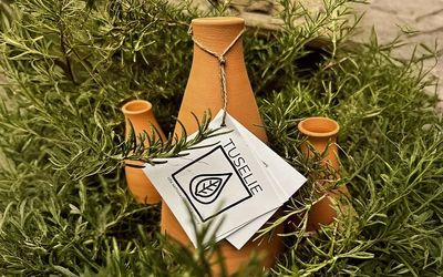 Jak ve Vnitroblocku vyřešili péči o rostliny s pomocí olla nádob