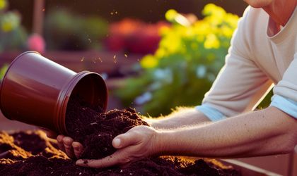 Zahrada - obrázek kategorie