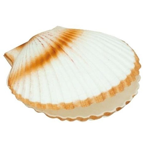 Mušle zavřená 13409 thumbnail