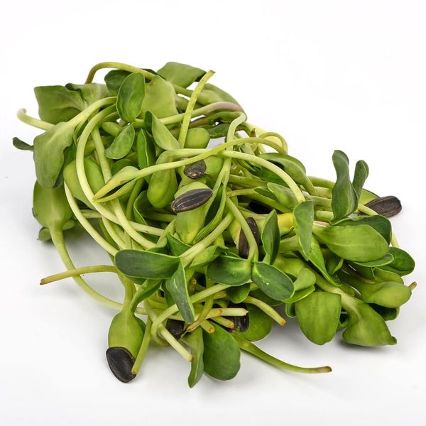 Slunečnice 100 g thumbnail