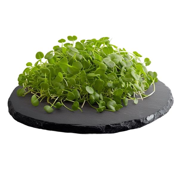Tinygreens Microgreens Hořčice 100g thumbnail