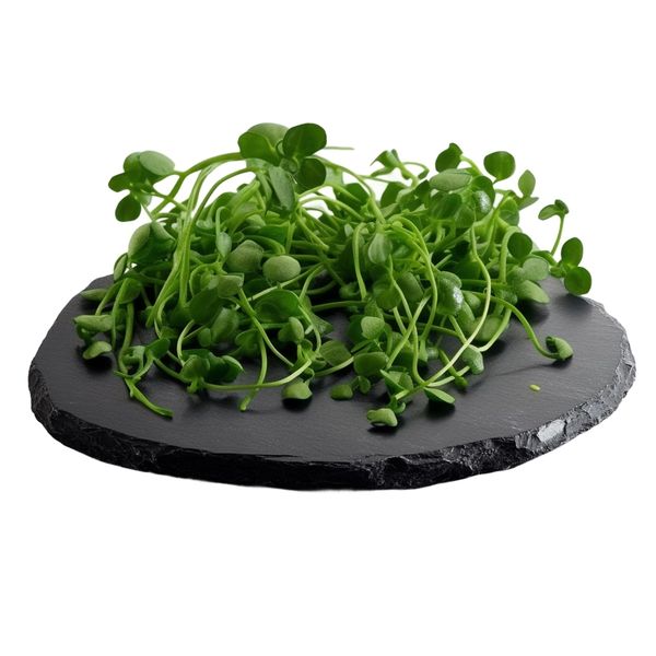 Tinygreens Microgreens Hrášek DUO 50g thumbnail