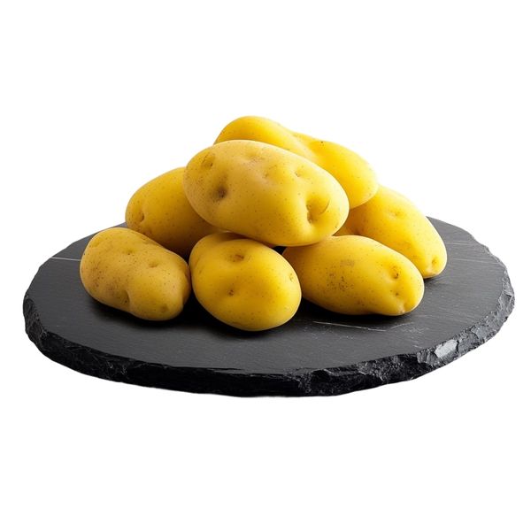 Jesenický Grunt Brambory Belana A 10 kg thumbnail