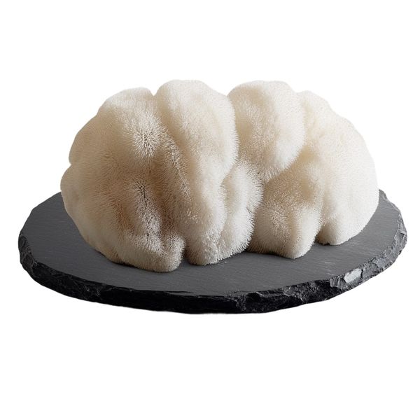 Urban Fungi Korálovec ježatý 1 kg thumbnail