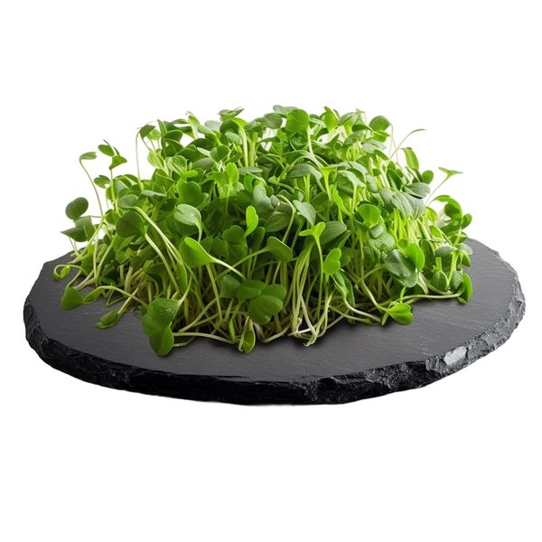 Tinygreens Microgreens Brokolice 100g thumbnail