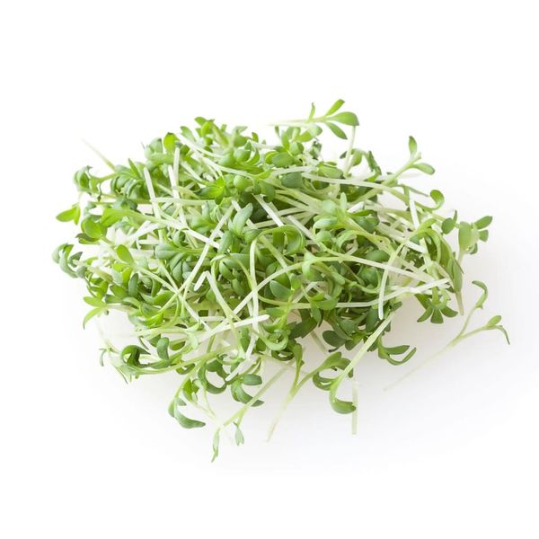 Řeřicha 100 g thumbnail