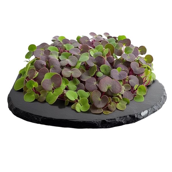 Tinygreens Microgreens Pak-Choi  50g thumbnail