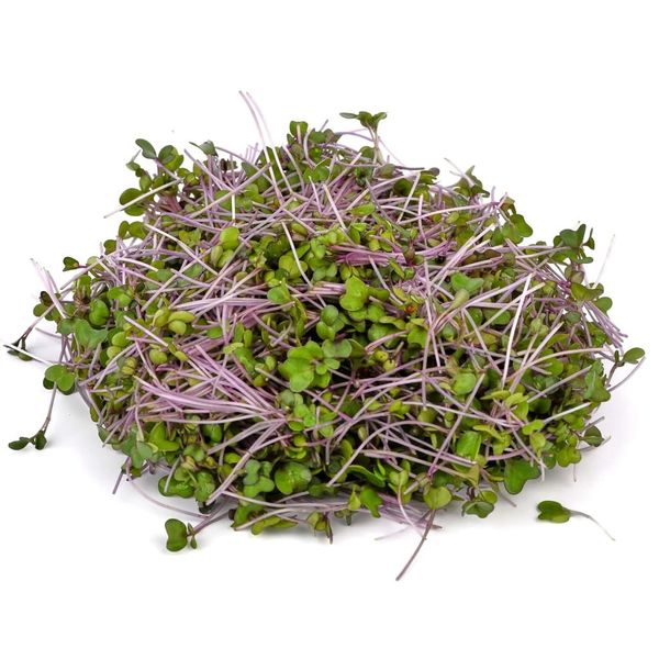 Červené zelí 100 g thumbnail