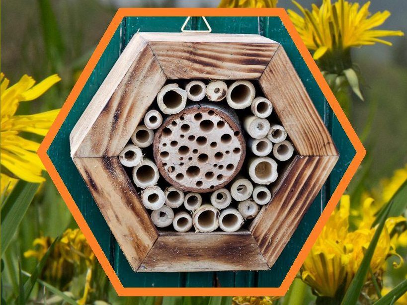 Hmyzí hotely  logo