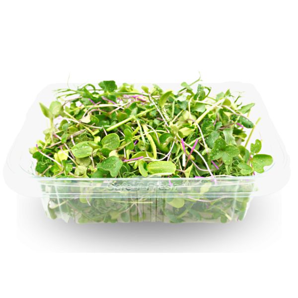 Velký degustační balíček thumbnail