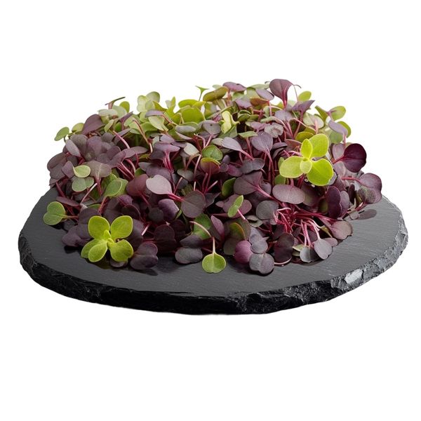Tinygreens Microgreens Ředkvička DUO 50g thumbnail