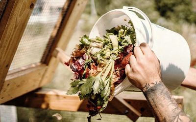 Gastroodpad versus bioodpad – víte, jak vytřídit kávu a skořápky od vajíček?