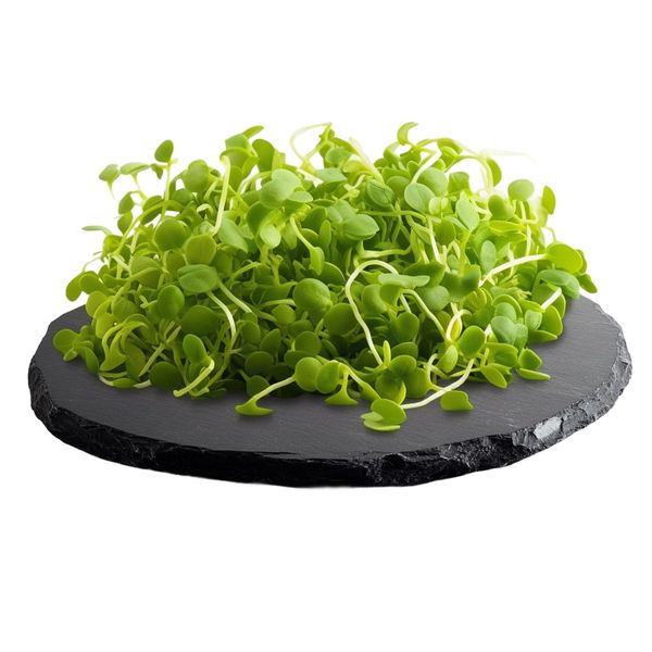 Tinygreens Microgreens Mizuna  100g thumbnail