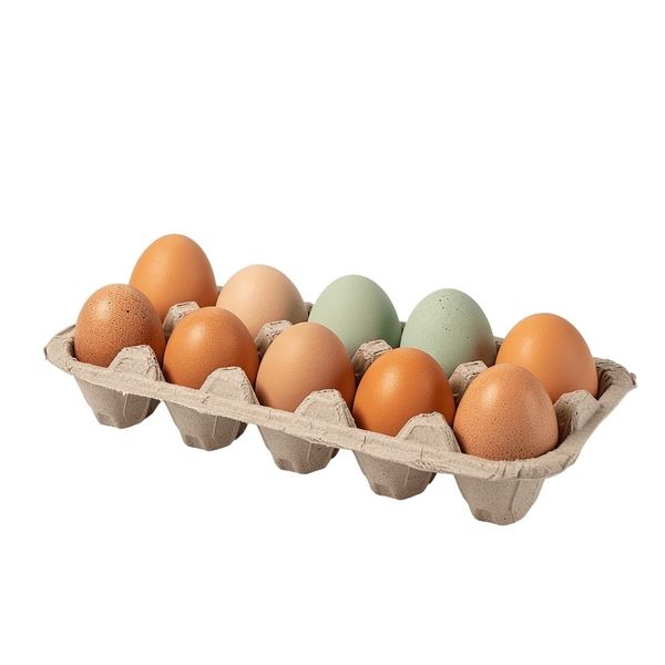 BIO čerstvá domácí vejce 10 kusů thumbnail