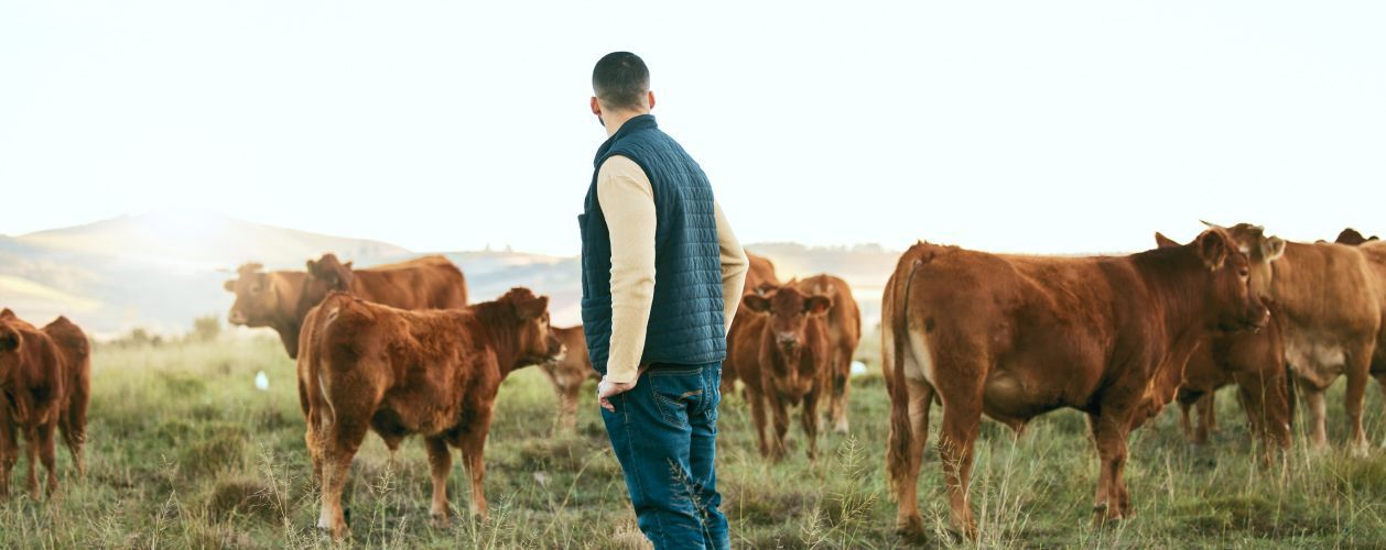 Poznejte farmáře, kteří stojí za našimi mléčnými produkty