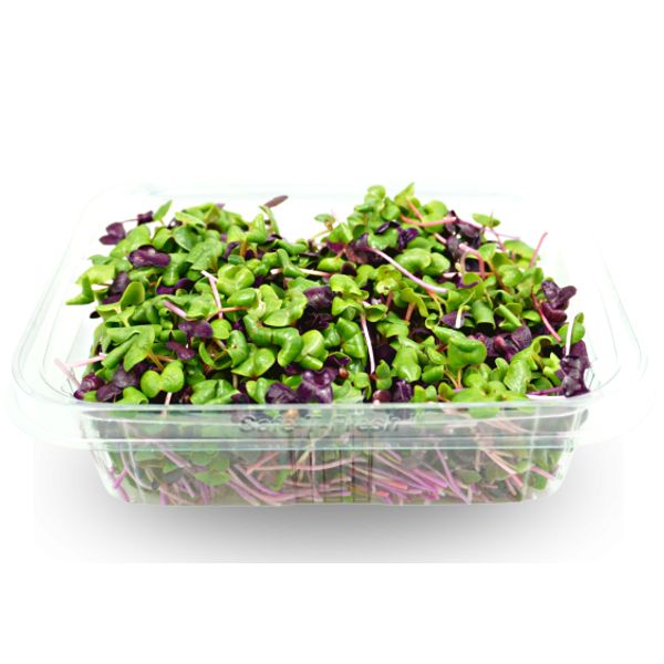 Ředkvičkové Trio thumbnail