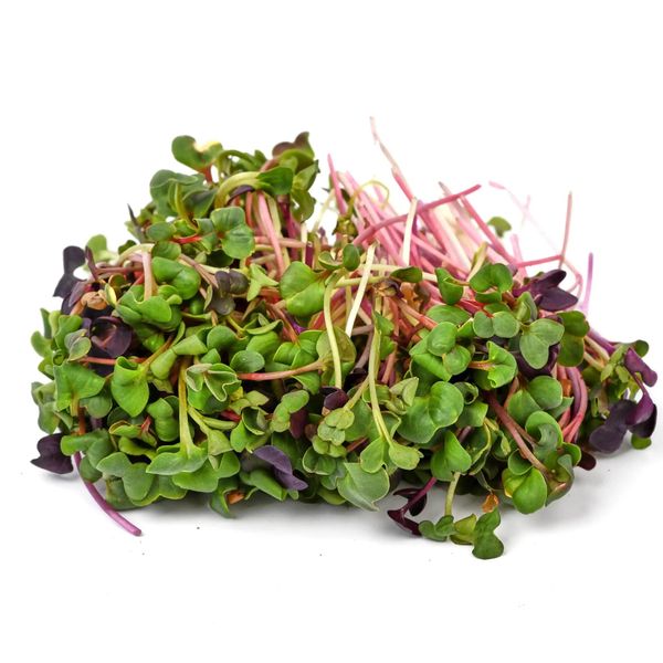 Ředkev mix 4 druhy 100 g thumbnail