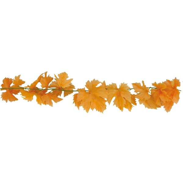 Listi pnouci revove 2 m 21671 thumbnail